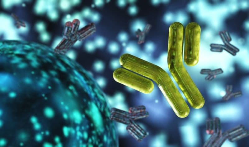 O nouă superbacterie pune în alertă lumea întreagă