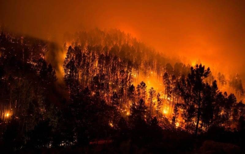 Pentru toți cei care vor petrece ziua de 1 Mai în natură: Protejați pădurea!
