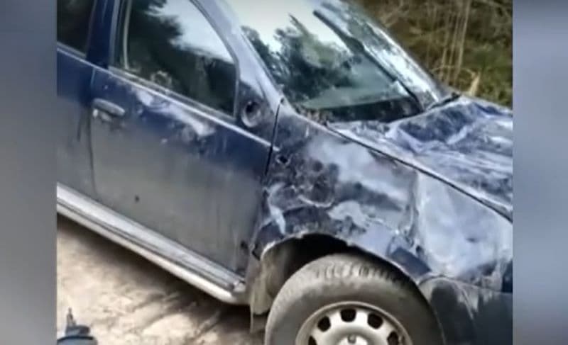 Mașina unui cabanier din Munții Bucegi a fost distrusă de un urs