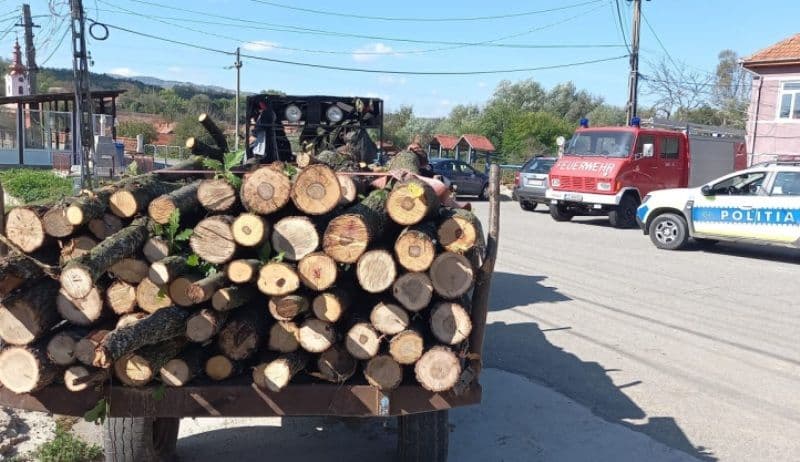 Acțiune a polițiștilor pentru prevenirea și combaterea transportului ilegal de material lemnos