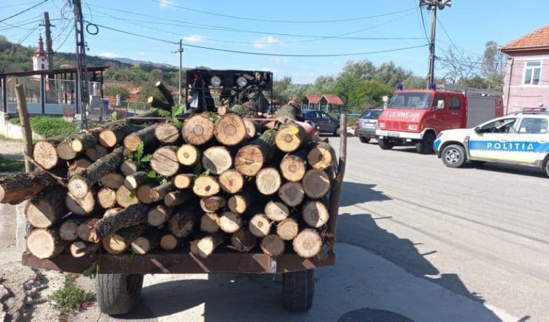 Material lemnos confiscat și amendă pentru transport ilegal de lemne