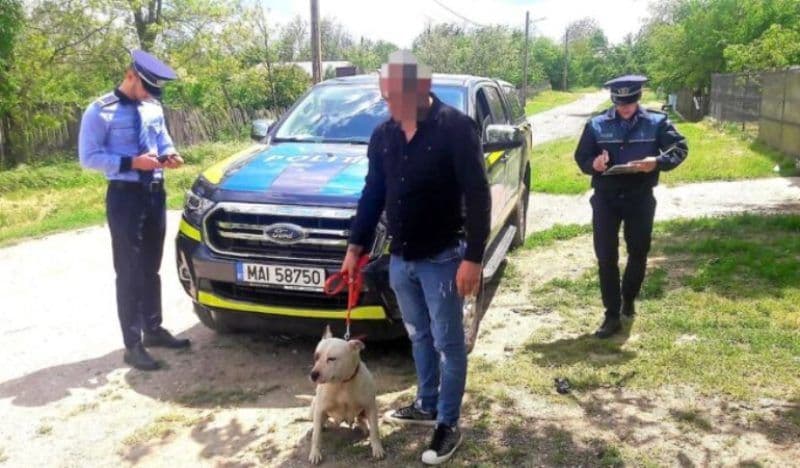 Deținătorii de arme și de câini periculoși, verificați de polițiști