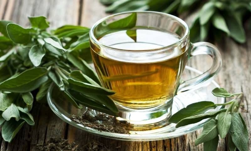 Salvia pură ajută la slăbit