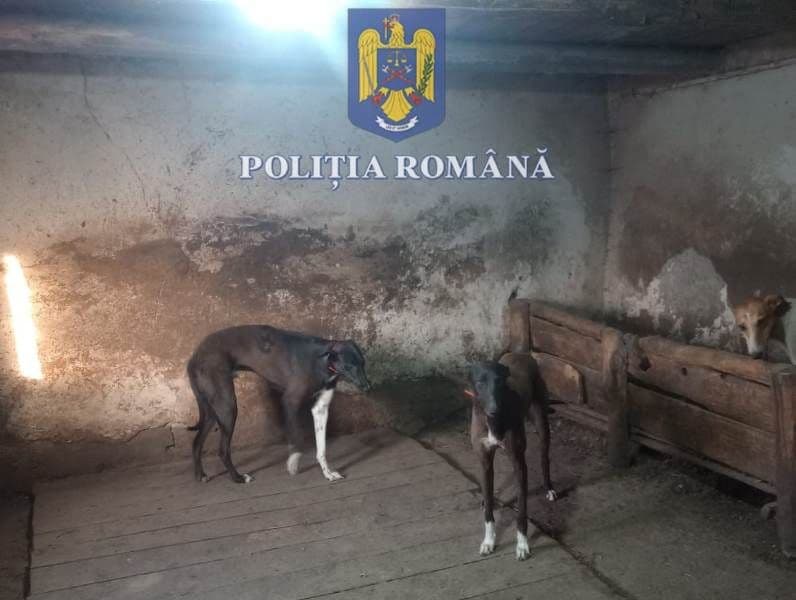 20 de mandate de percheziție, la persoane bănuite de practicarea vânătorii și nerespectarea regimului armelor și munițiilor - FOTO