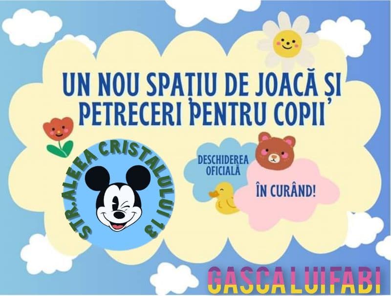 În curând la Dorohoi! Spațiu De Joacă Dorohoi - Gașca Lui Fabi