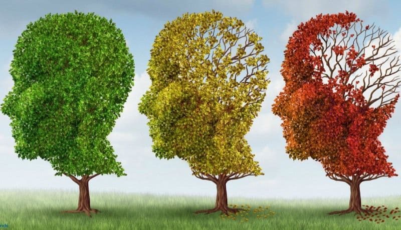 Stimulente naturale pentru memorie