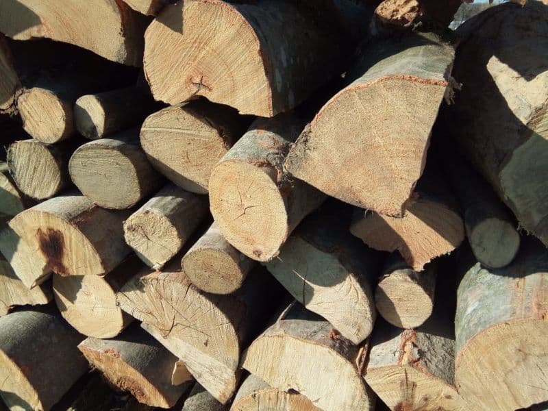 Amendă de 2000 de lei aproape 5 metri cubi de material lemnos confiscat, pentru lipsa documentelor