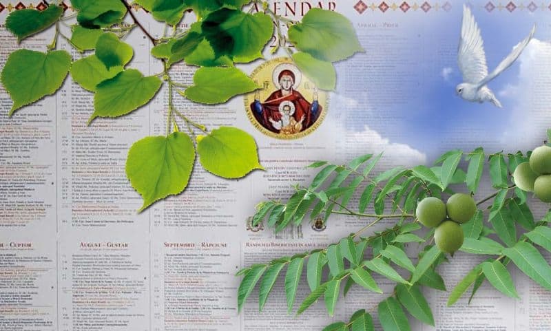 Tradiţii şi obiceiuri de Rusalii. De ce sunt binecuvântate ramurile de tei la sărbătoarea Pogorârii Duhului Sfânt