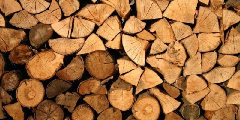 Sancțiune de 4.000 de lei și aproape 7 metri cubi de material lemnos confiscat de polițiștii botoșăneni