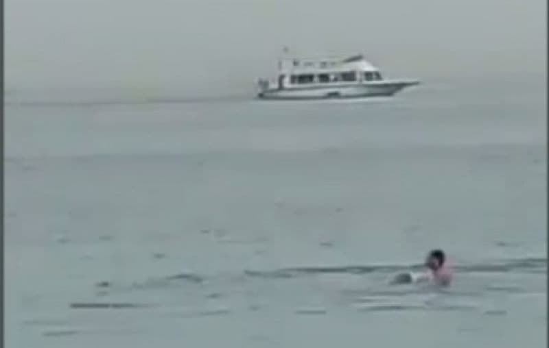 Final tragic pentru un tânăr de 24 de ani! Un rechin l-a atacat și l-a sfâșiat în Hurghada, Egipt - VIDEO