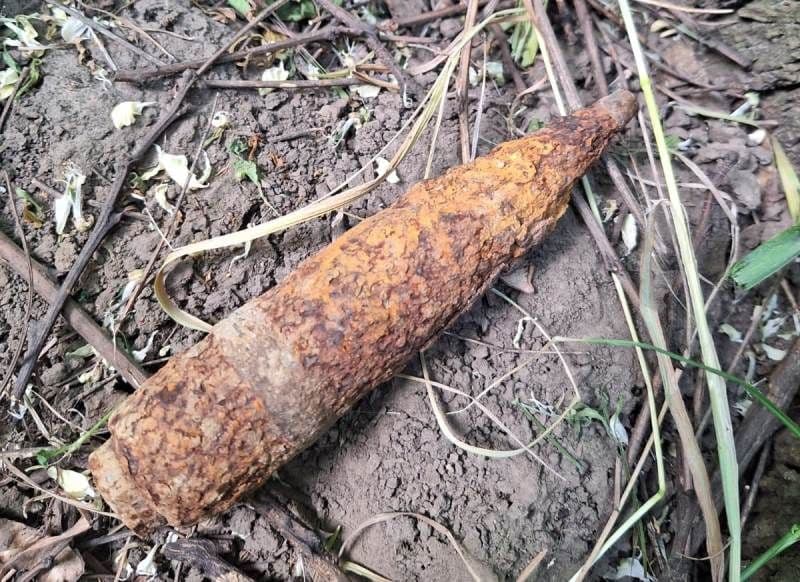 Proiectil exploziv trasor descoperit de un șofer în trunchiul unui copac rupt pe drumul Botoșani-Săveni - FOTO