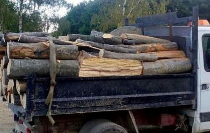 Amendă și material lemnos confiscat pentru lipsa documentelor la Șendriceni