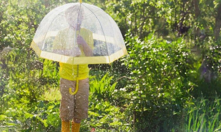 Săptămâna viitoare va ploua aproape în fiecare zi! Prognoza meteo 23 - 29 iunie 2023
