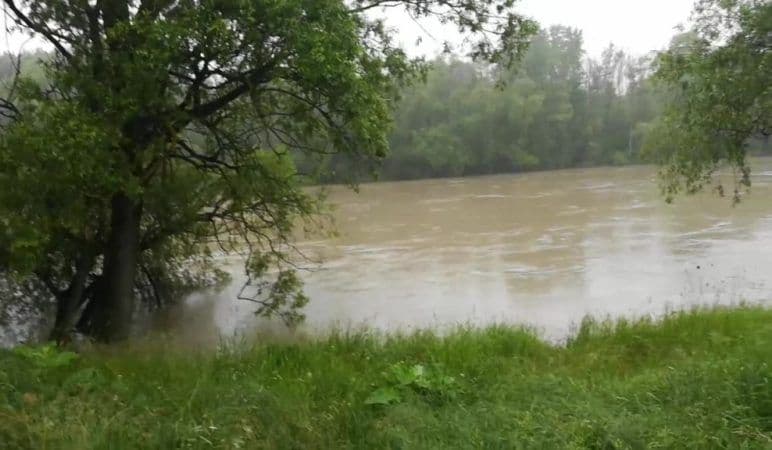 Râul Prut a depășit cota de atenție la Oroftiana și Rădăuți Prut