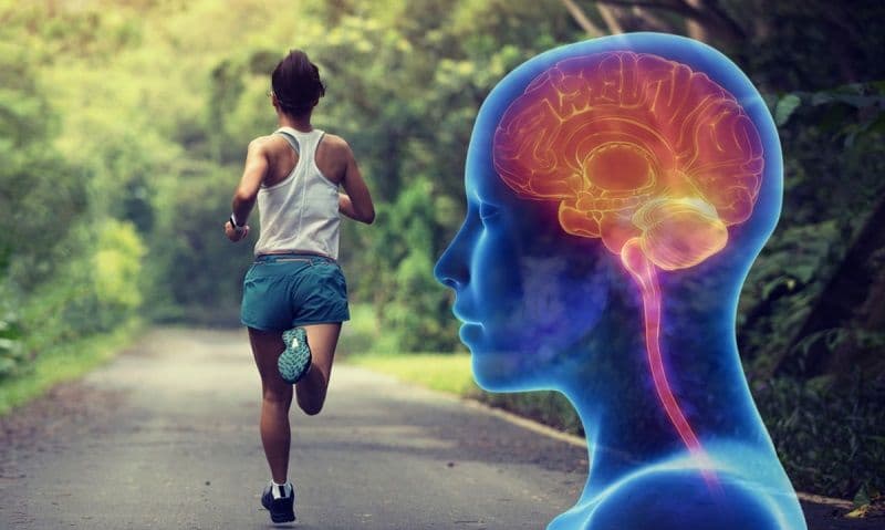 Beneficii pe care sportul le are asupra creierului