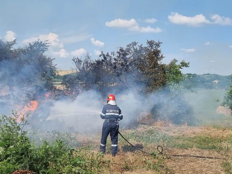 Peste 200 de baloți de paie s-au făcut scrum într-un incendiu provocat cu intenție - FOTO