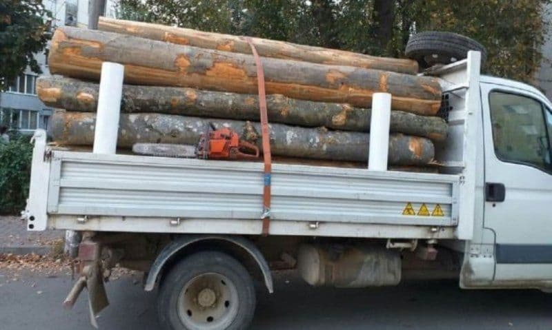 Material lemnos confiscat la nivelul județului Botoșani, în cadrul acțiunii „Scutul Pădurii”