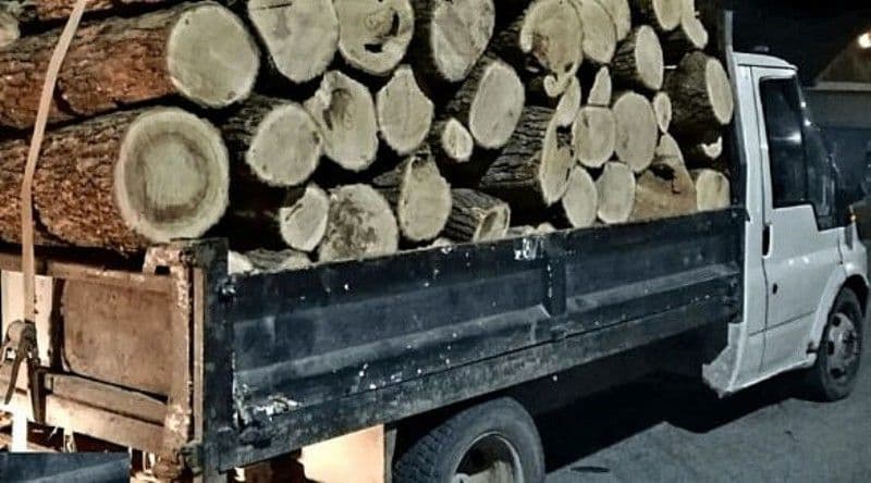 Tânăr prins de polițiști în timp ce transporta material lemnos fără acte