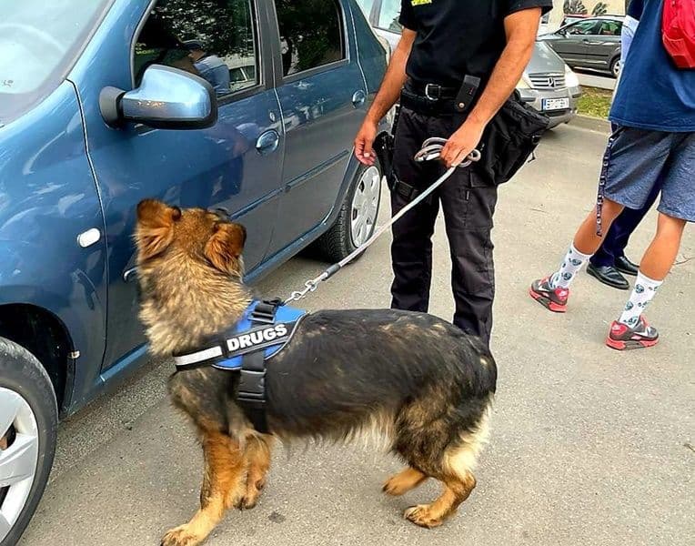 Acțiune pentru menținerea ordinii și liniștii publice în municipul Botoșani
