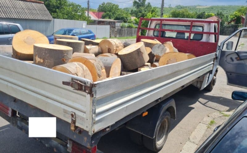 Material lemnos confiscat la Ștefănești