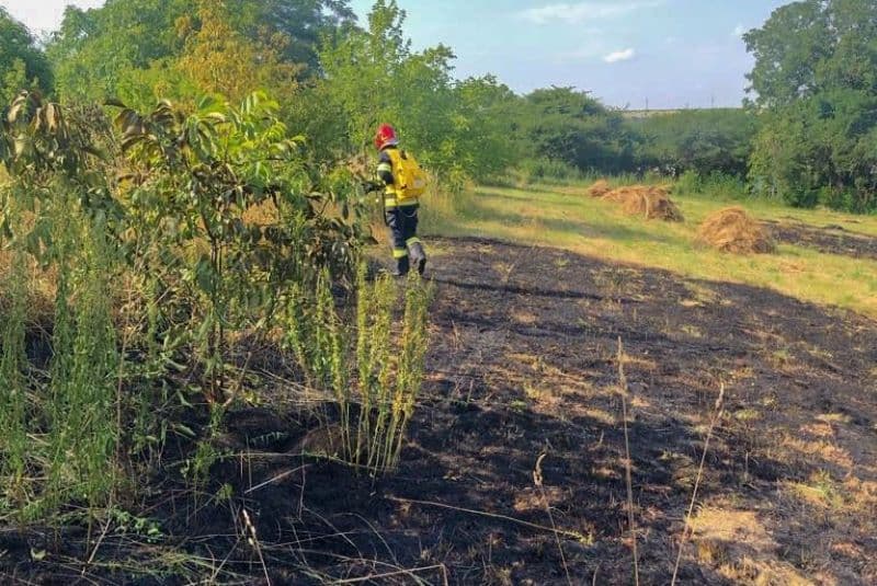 Pompierii au intervenit la un incendiu în Dorohoi. STOP incendiilor de vegetație uscată!
