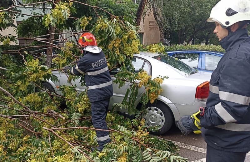Copac doborât de vânt peste un autoturism în municipiul Botoșani