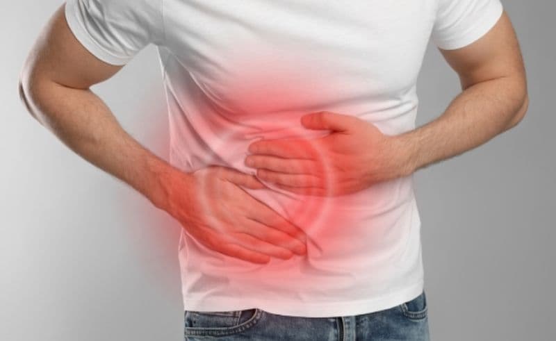 Ce rol are apendicele în organism