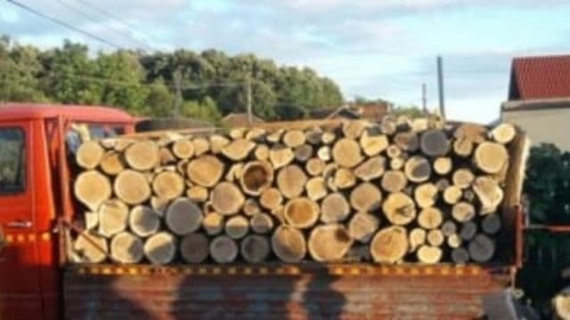 Material lemnos confiscat, în cadrul unei acțiuni a polițiștilor din Ștefănești