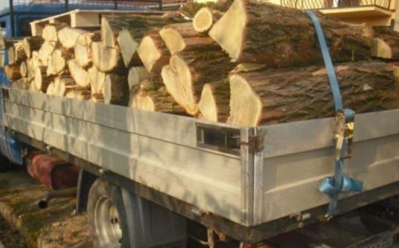 Material lemnos fără documente legale confiscat la Ibănești