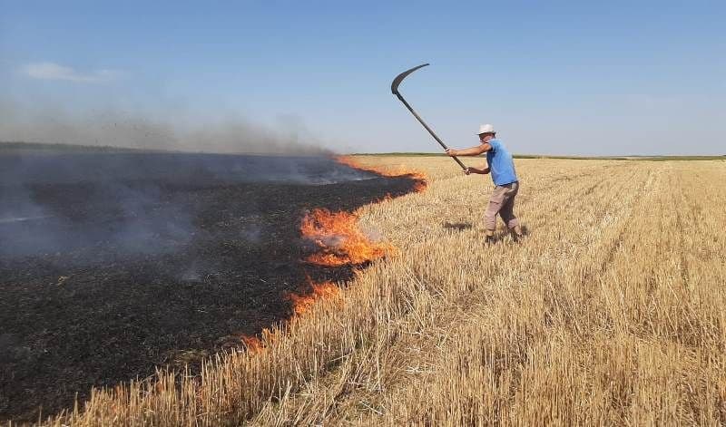 SVSU Suharău: Incendierea vegetației uscate este INTERZISĂ!