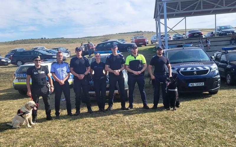 Peste 20 de amenzi date de jandarmi în minivacanța care a trecut - FOTO