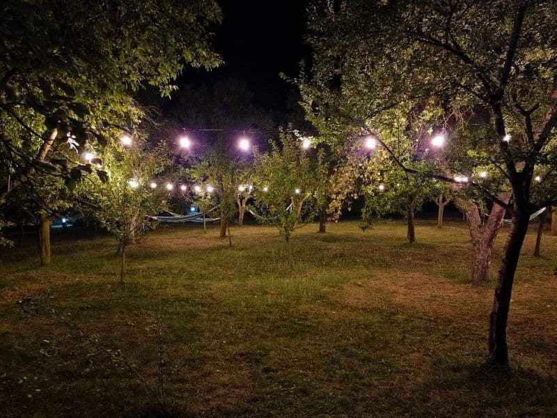 Încep Serile Eminesciene la Memorialul Ipotești - FOTO