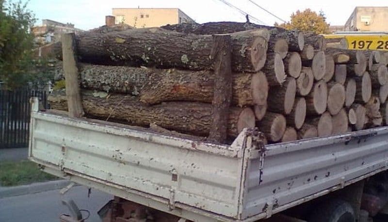 Lemne fără documente legale confiscate la Șendriceni