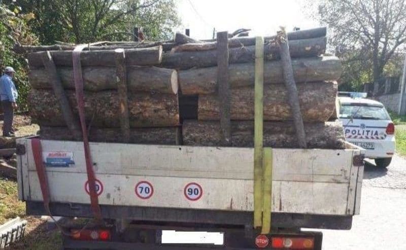Transport ILEGAL de lemne, oprit de polițiștii botoșăneni. AMENDĂ de 1.000 de lei. Lemne CONFISCATE