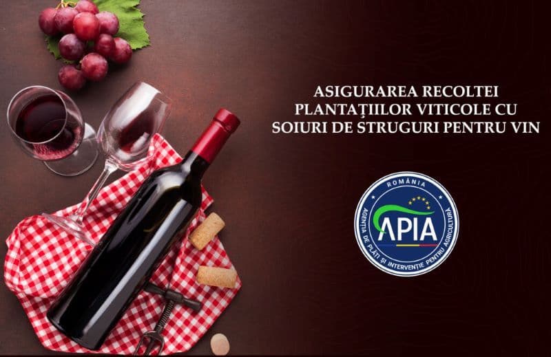 APIA primește cereri de plată pentru intervenția IS-V-03 „Asigurarea recoltelor”