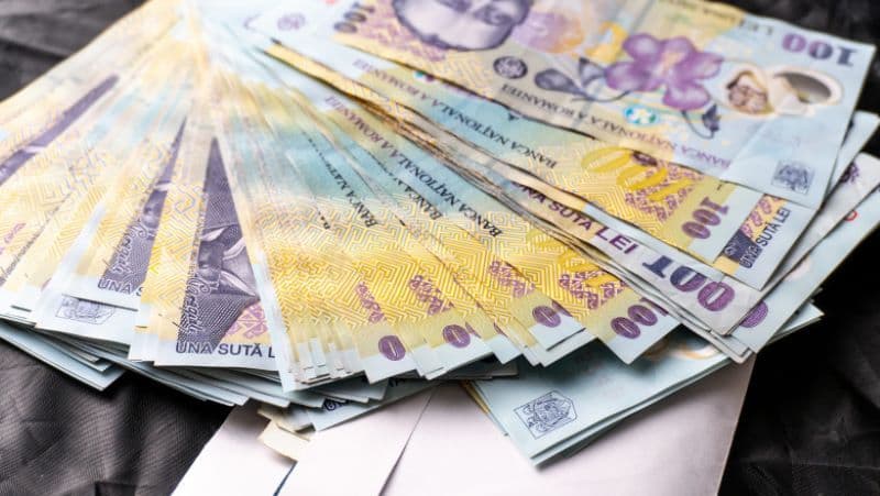 Guvernul a solicitat alocarea a 50.000 de lei din fondul de rezervă ca ajutor pentru familia Alexandrei