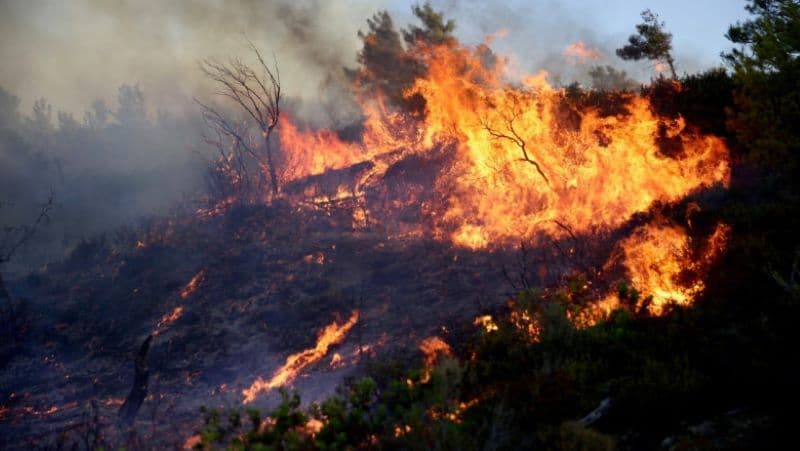 79 de persoane au fost arestate în Grecia pentru că ar fi declanșat intenționat incendiile
