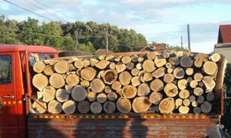 Peste 20 de metri cubi de material lemnos confiscați la Flămânzi 