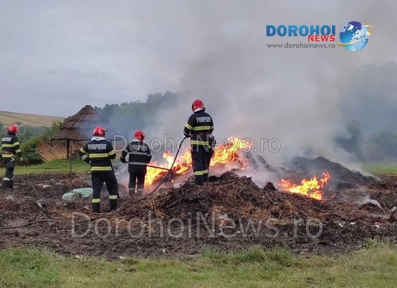 Intervenție la Horlăceni pentru stingerea unui incendiu izbucnit la aproximativ 15 tone de deșeuri vegetale - FOTO