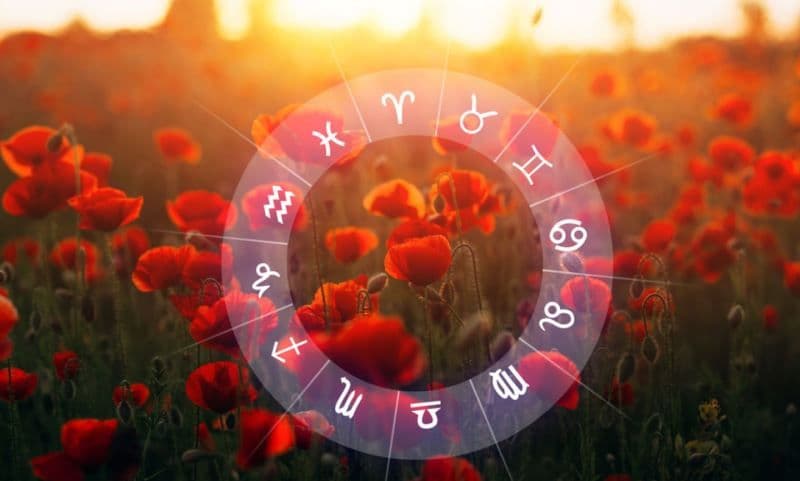 Zodiac floral. Care este floarea care corespunde fiecărei zodii