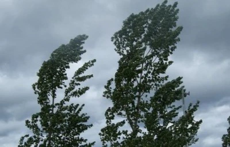 Atenție! Județul Botoșani se află sub avertizare meteo COD GALBEN de intensificări ale vântului
