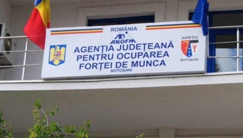 Peste 2500 de persoane angajate prin intermediul AJOFM Botoșani până la sfârșitul lunii august