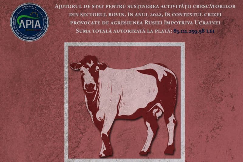 APIA: Sprijin financiar pentru susținerea activității crescătorilor de bovine