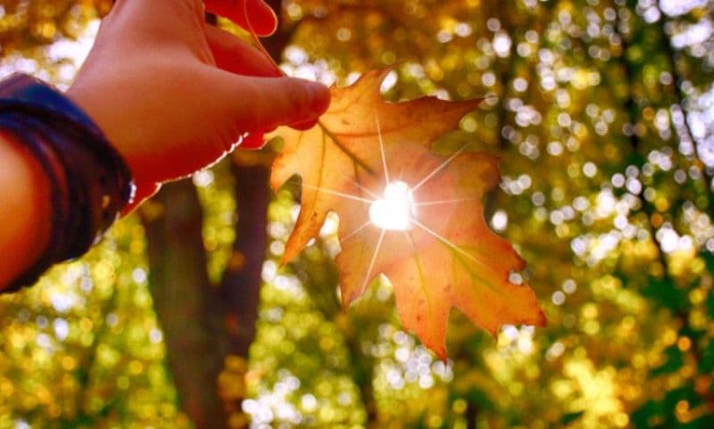 Se răcește vremea. Află zonele unde sunt așteptate temperaturi sub 10 grade Celsius la început de octombrie