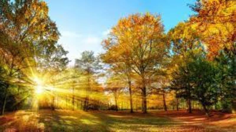 ANM prognozează temperaturi mai ridicate și ploi mai multe decât de obicei în următoarele patru săptămâni