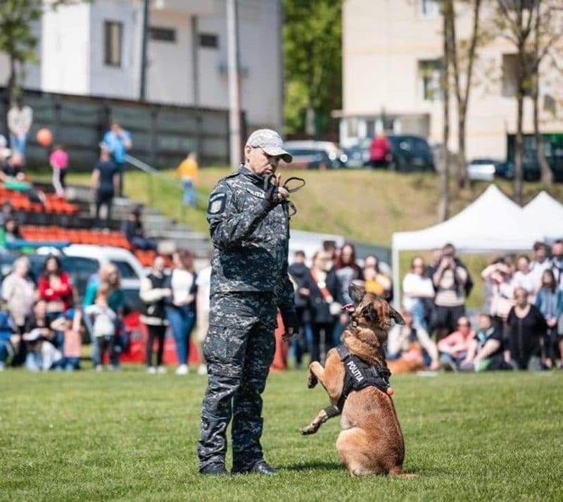 Zeus, câinele polițist al IPJ Botoșani, pe podium la o competiție națională