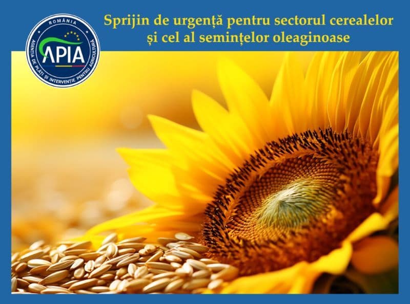 APIA: Sprijinul de urgență pentru sectorul cerealelor și cel al semințelor oleaginoase – termen limită de depunere cereri – 26 octombrie 2023