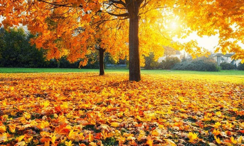 ANM a publicat prognoza meteo pentru următoarele două săptămâni: Vremea se menține deosebit de caldă toată săptămâna