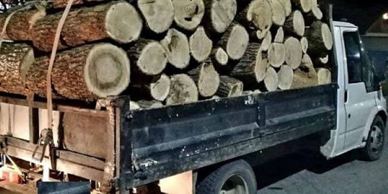 Polițiștii au sancționat un sucevean care transporta trei metri cubi de lemn fără a deține documente legale