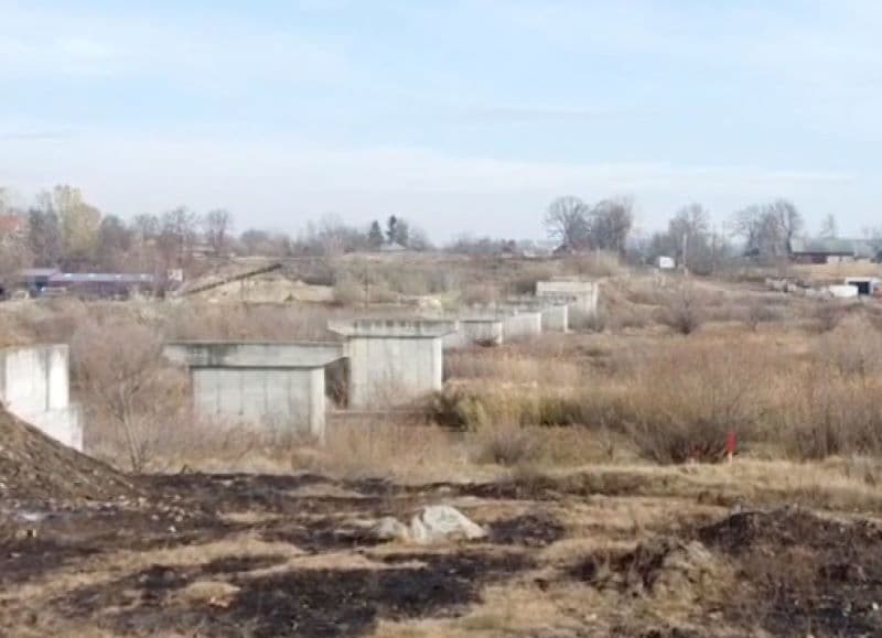 Construcţia podului peste Siret, de la Talpa, oprită ca să se protejeze specii de gândaci şi broaşte
